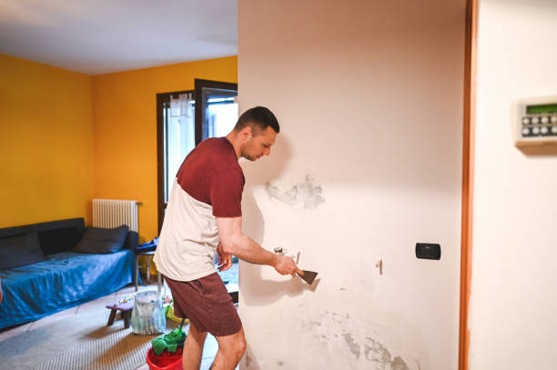 Professional Mold Removal in Troup, TX