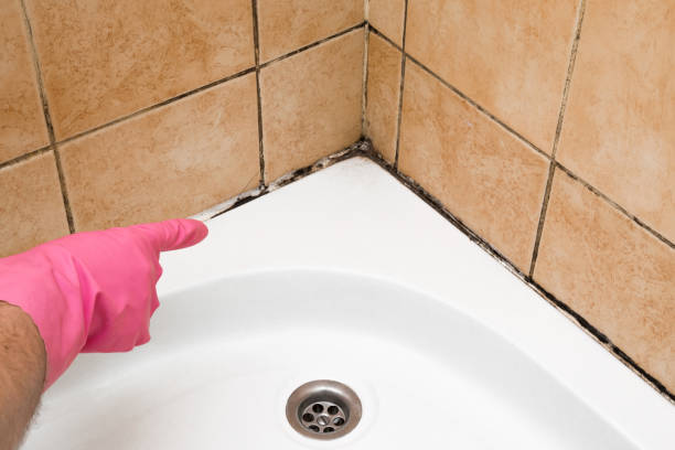 Best Emergency Mold Removal  in Troup, TX